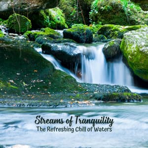 Streams of Tranquility: The Refreshing Chill of Waters - Streams of Dreams