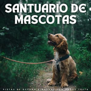 Santuario De Mascotas: Pistas De Océano Binaural Con Ondas Theta - Colectivo Binaural