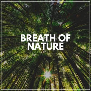 Breath of Nature - The Nature Soundscapes