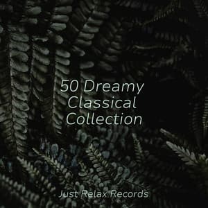 50 Dreamy Classical Collection - Chinese Relaxation and Meditation