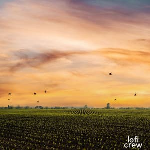 Melodías Para La Calma Del Corazón - Office Music