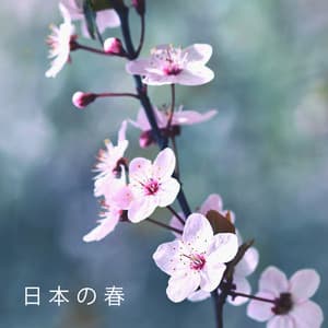日本の春: 落ち着いた和風ピアノミックス - Instrumental Piano Academy