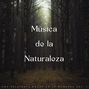 Música De Naturaleza: Una Relajante Noche En La Montaña Vol. 1 - Sonidos orgánicos de la naturaleza