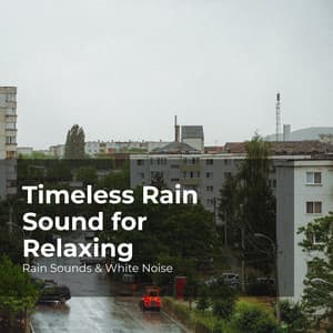 Timeless Rain Sound for Relaxing - Rain Sounds & White Noise