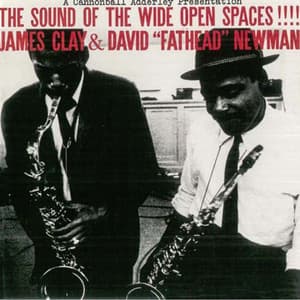 The Sound of Wide Open Spaces - David "Fathead" Newman