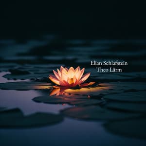 Mond über Lotusträume - Theo Lärm