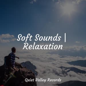 Soft Sounds | Relaxation - Oasis de Détente et Relaxation
