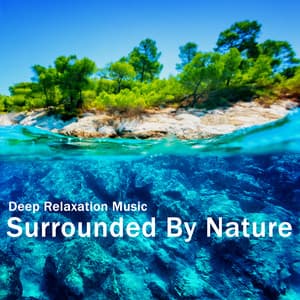 Surrounded By Nature. Deep Relaxation Music - Sleep System