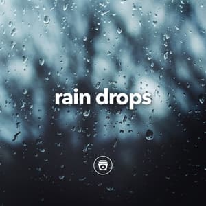 Rain Drops - Jungle Sounds