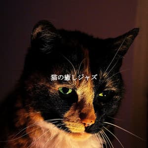 猫の癒しジャズ - Tokyo Bebop Jazz Playlist