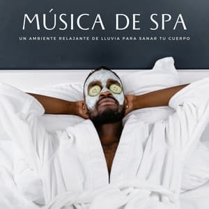 Música De Spa: Un Ambiente Relajante De Lluvia Para Sanar Tu Cuerpo - Experiencia de sonido de lluvia