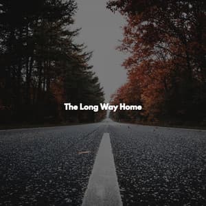 The Long Way Home - Jazzy VIbes for Study Time