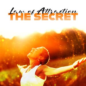 Law of Attraction: The Secret - Coloured Noises