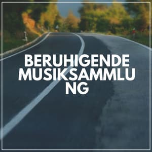 Beruhigende Musiksammlung - Musik für Tiefenschärfe
