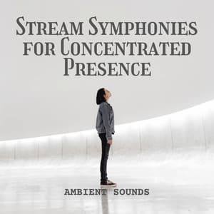 Ambient Sounds: Stream Symphonies for Concentrated Presence - The One-Lane Bridge