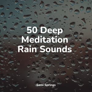 50 Deep Meditation Rain Sounds - The Sleep Specialist