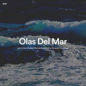 #01 Olas Del Mar para Una Velada Romántica O Una Ocasión Especial - Olas del Mar