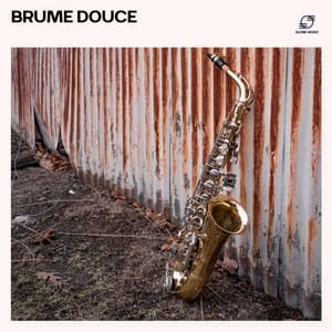 Brume Douce - Jazz douce musique d'ambiance