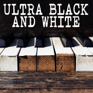 Ultra Black And White - Gutter Keys
