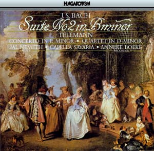 J.S. Bach: Suite No. 2 in B minor - Telemann: Concerto in E Minor & Quartetto in D Minor - Pal Nemeth