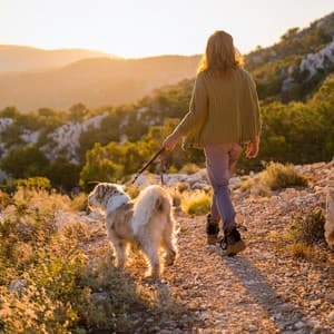 Día De Diversión Para Perros: Música Para Caninos - Ruido Radio 1