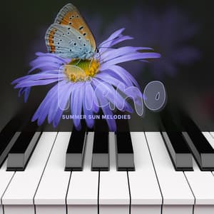 Piano Summer Sun Melodies - Melodic Sunrise Pianists