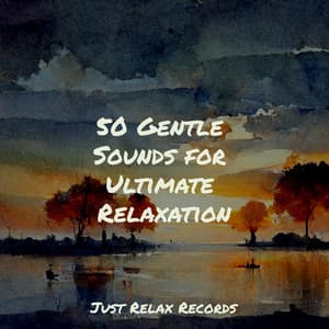 50 Gentle Sounds for Ultimate Relaxation - Relaxed Minds