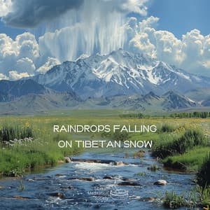 Raindrops Falling on Tibetan Snow - Tibetan Meditation Society