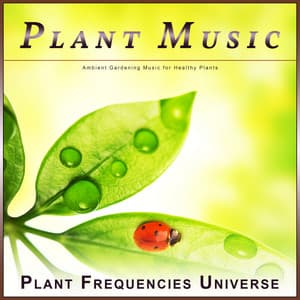 Plant Music: Ambient Gardening Music for Healthy Plants - Music for Plants