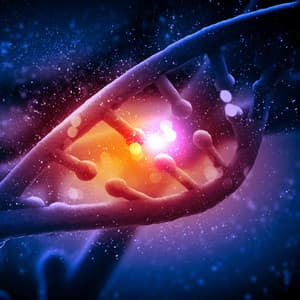 DNA Repair - Heavenly Realms