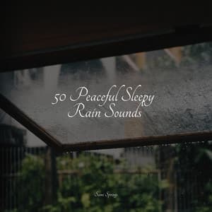 50 Peaceful Sleepy Rain Sounds - Deep Sleep Brown Noise