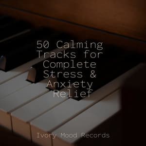 50 Calming Tracks for Complete Stress & Anxiety Relief - Ivory Mood
