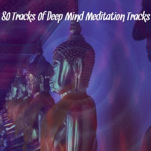 80 Tracks Of Deep Mind Meditation Tracks - Meditación Interna