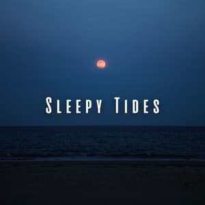 Sleepy Tides: Theta Waves and Binaural Ocean Bliss - The Ocean Waves Sounds