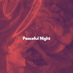 Peaceful Night - Classic Jazz Music