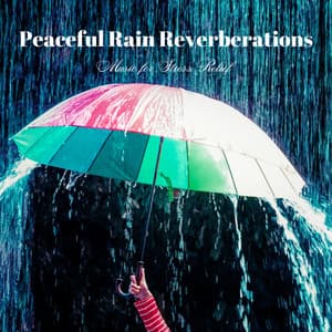 Peaceful Rain Reverberations: Music for Stress Relief - Liquidge