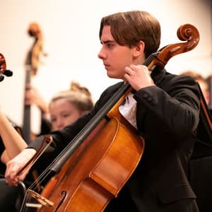 Quiet Moments: Orchestra for Meditation Peace - Charles Anderson