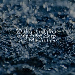 50 Beautiful Rain Sounds for Sleep and Mindfulness - Rain Sounds & White Noise