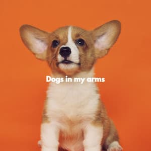 Dogs in my arms - Musica Relajante para Perros Momentos