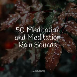 50 Meditation and Meditation Rain Sounds - Pacific Rim Nature Sounds