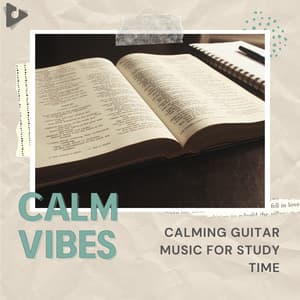 Calming Guitar Music for Study Time - Calm Vibes