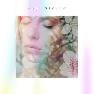 Soul Stream - Heaven on Earth Instrumental Universe