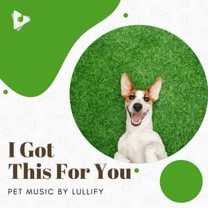 I Got This For You - Pet Music by Lullify