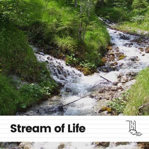 Stream of Life - Water Rock Soundscapes