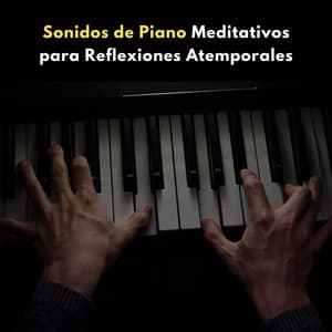 Sonidos De Piano Meditativos Para Reflexiones Atemporales - Juguetes para piano