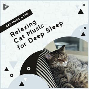 Relaxing Cat Music for Deep Sleep - Cat Music Hour