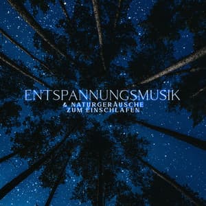 Entspannungsmusik & Naturgeräusche zum Einschlafen: Tiefenentspannung und Stressabbau - Tiefenentspannung Akademie