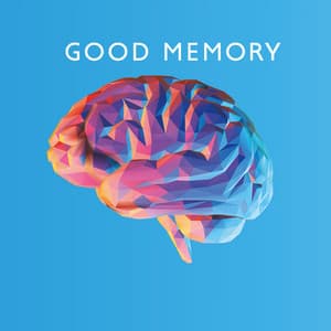 Good Memory - Study Time, Calm Down, Prepare for Exams - Calming Music Sanctuary