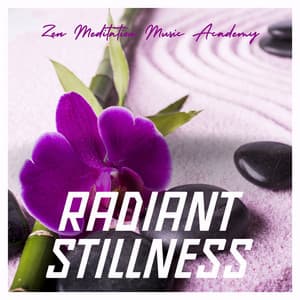 Radiant Stillness: Healing Meditation - Zen Meditation Music Academy