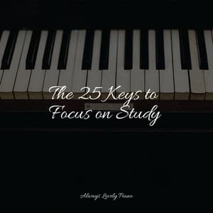 The 25 Keys to Focus on Study - Piano Therapy Sessions